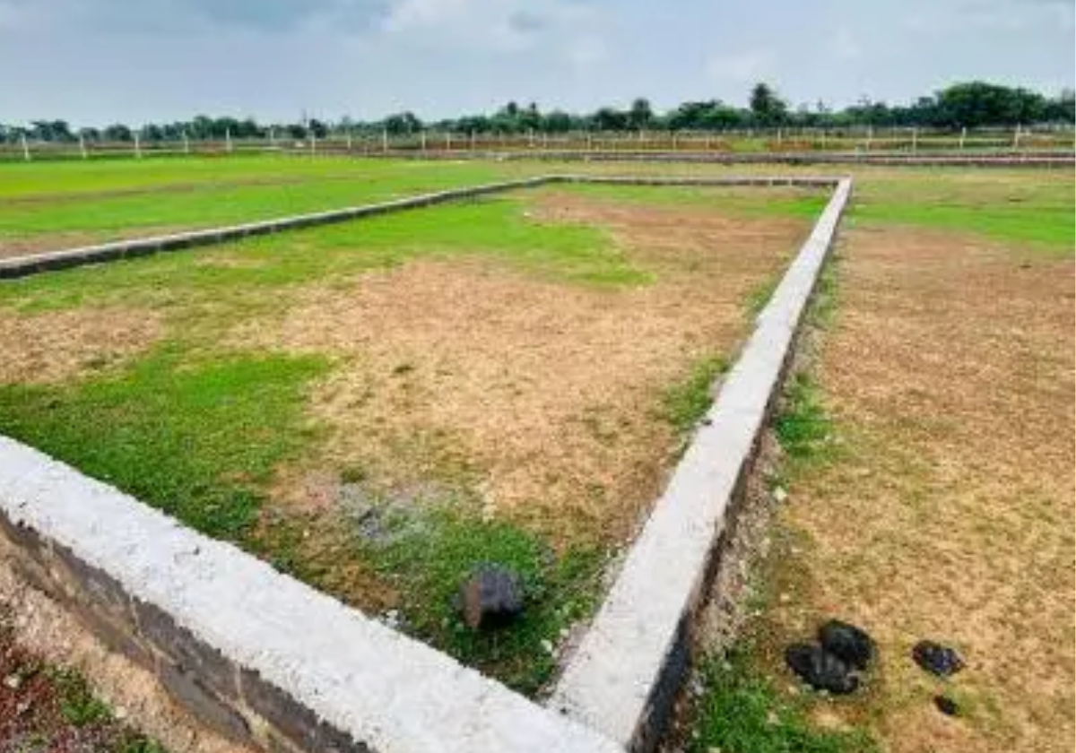 plot for sale (1)